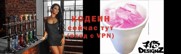 индика Богородск