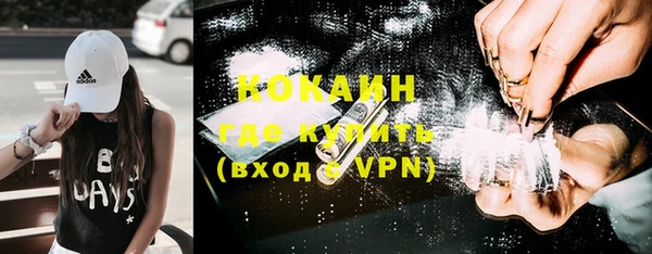 индика Богданович