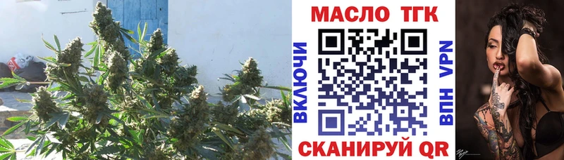 Купить закладки  Горбатов  Дистиллят ТГК вейп с тгк 