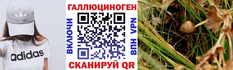 Купить Горбатов Галлюциногенные грибы прущие грибы